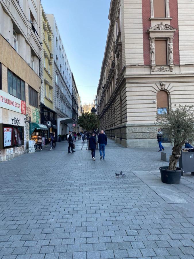 Appartamento Cika Ljuba Belgrado Esterno foto